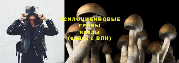 мдма Белокуриха