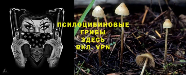 мдма Белокуриха
