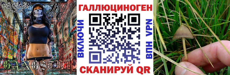 ОМГ ОМГ зеркало  наркотики  Тольятти  Псилоцибиновые грибы мицелий 